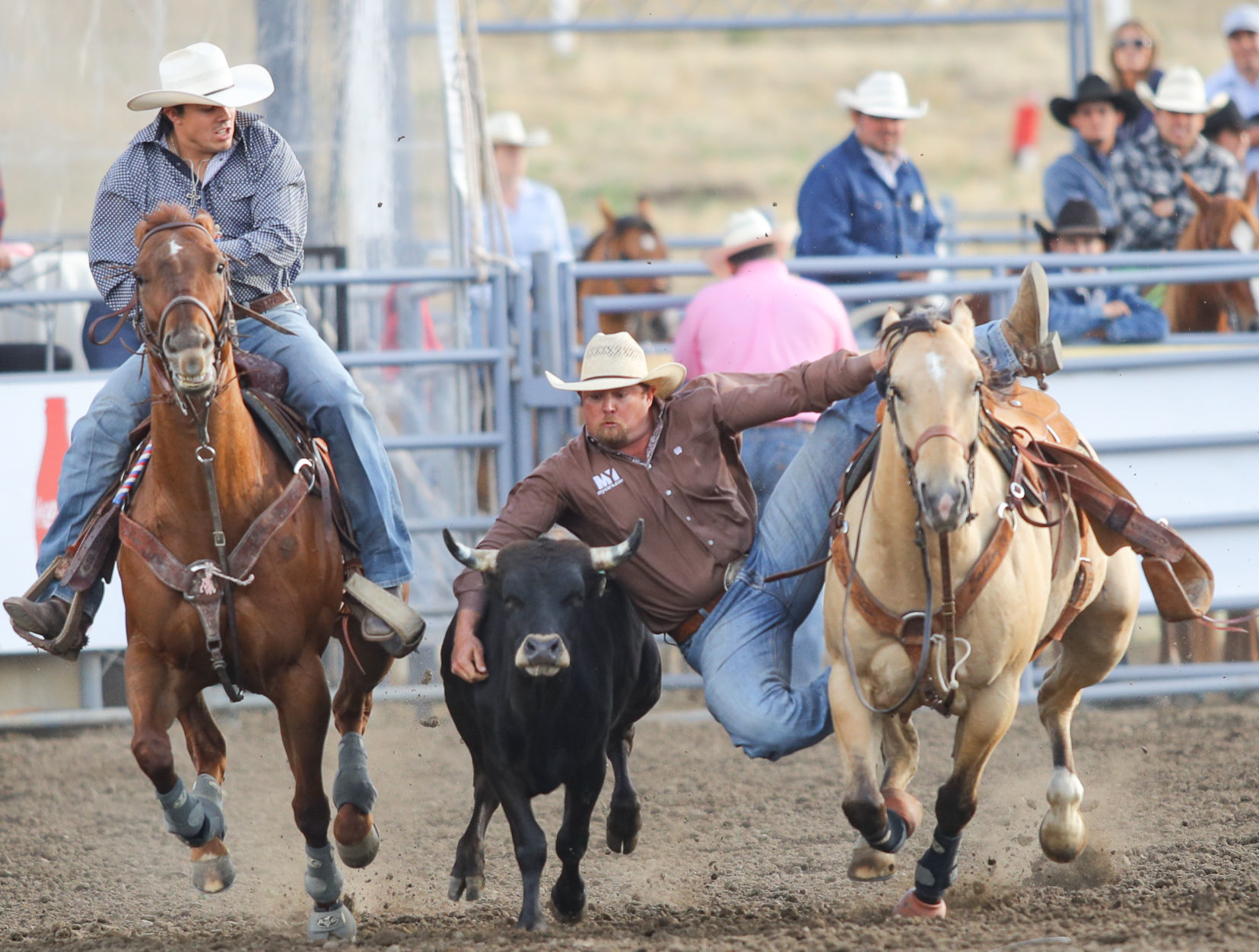 060119 Elks Rodeo Saturday 04.jpg